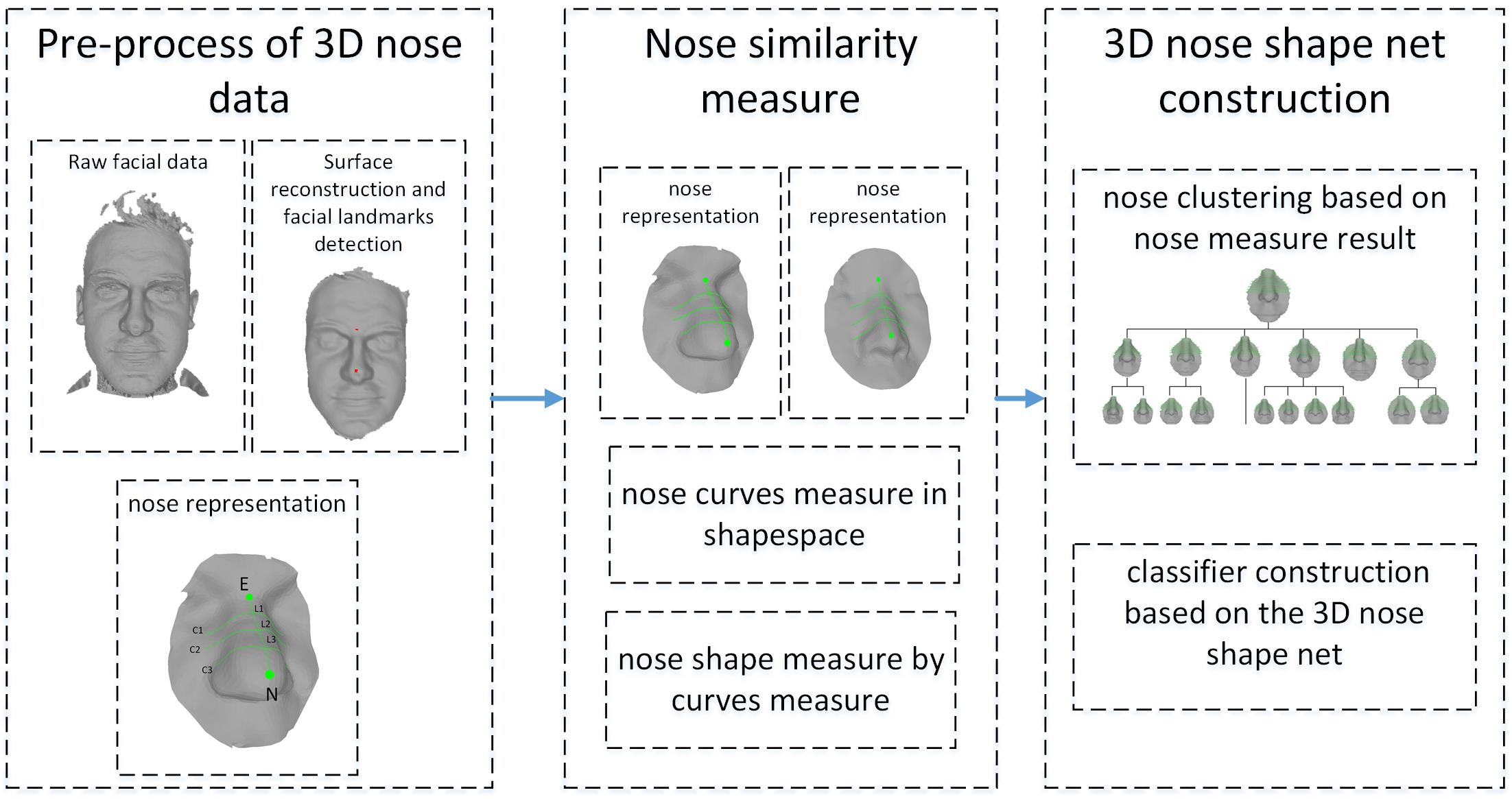 3D Nose shape net for human gender and ethnicity classification.